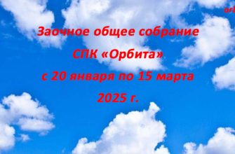 СПК Орбита не избрание Бурей